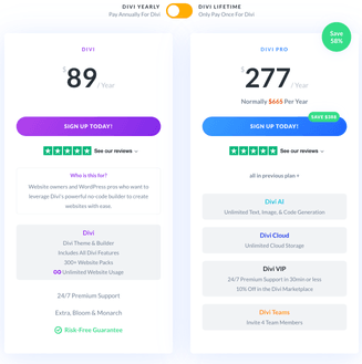 Choosing the Right WordPress Page Builder: Bricks pricing